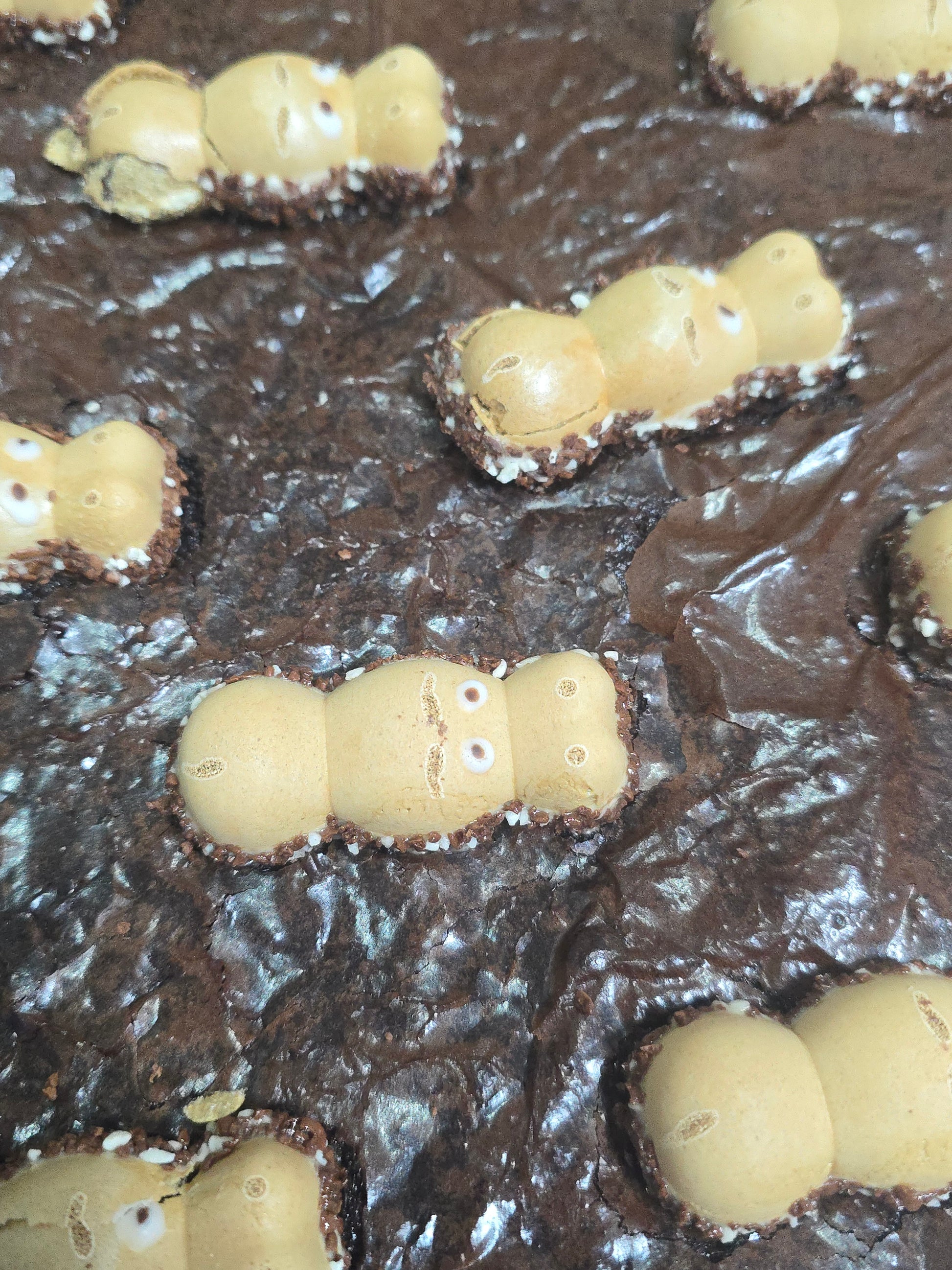 Hippo Brownie