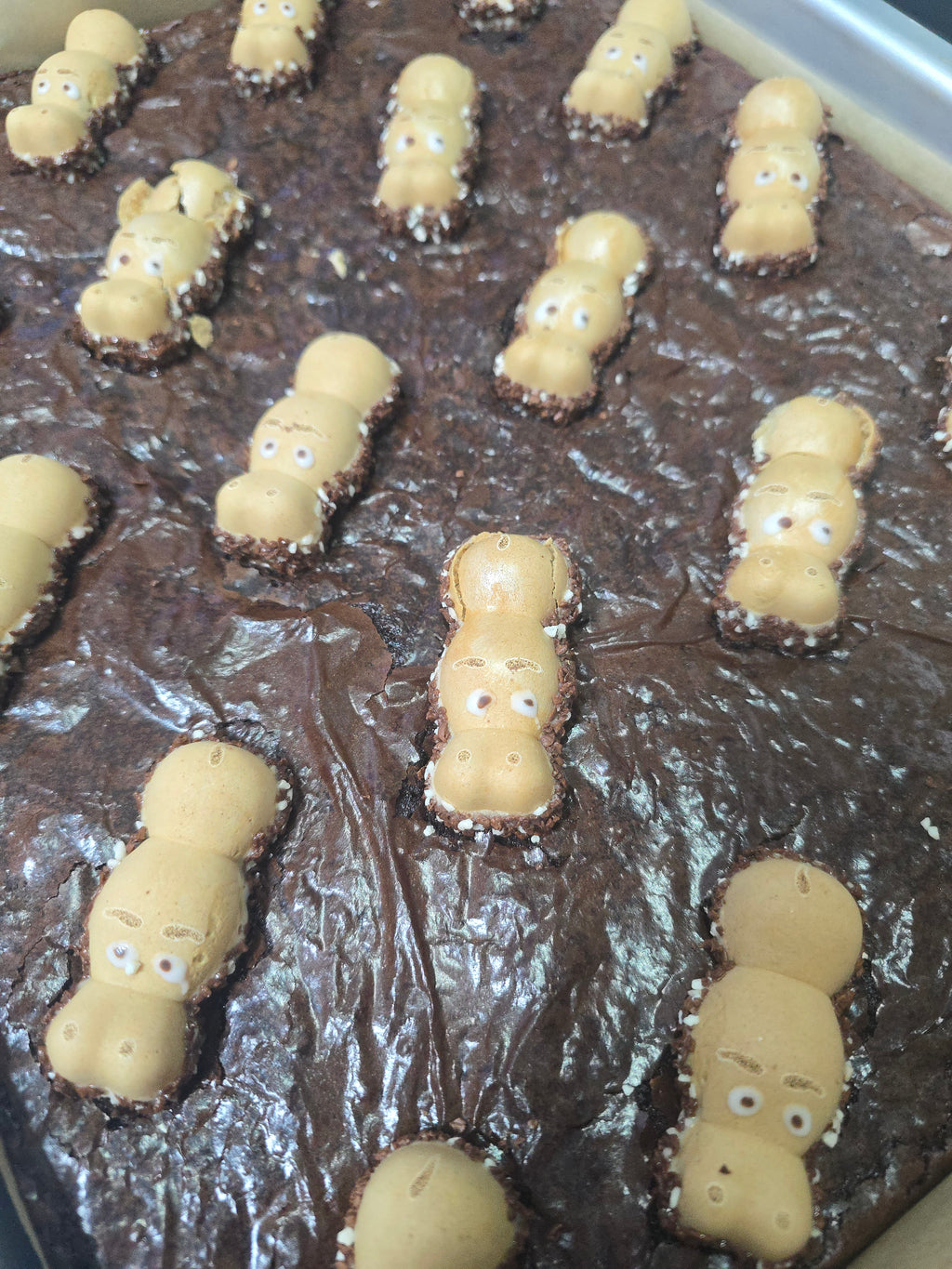 Hippo Brownie